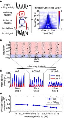 Causally Investigating Cortical Dynamics and Signal Processing by Targeting Natural System Attractors With Precisely Timed (Electrical) Stimulation